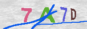 キャプチャ画像