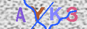 キャプチャ画像
