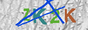 キャプチャ画像