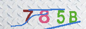 キャプチャ画像