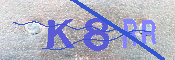 キャプチャ画像