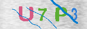 キャプチャ画像