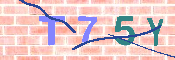 キャプチャ画像