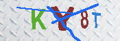 キャプチャ画像