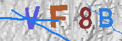 キャプチャ画像