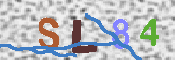 キャプチャ画像