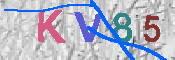 キャプチャ画像