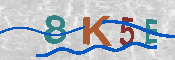 キャプチャ画像