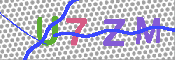 キャプチャ画像