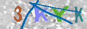 キャプチャ画像