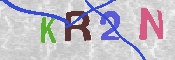 キャプチャ画像