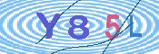 キャプチャ画像
