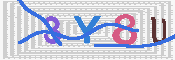 キャプチャ画像