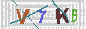 キャプチャ画像