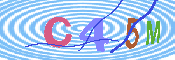 キャプチャ画像