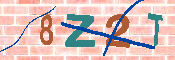 キャプチャ画像