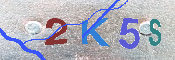 キャプチャ画像