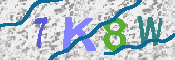 キャプチャ画像
