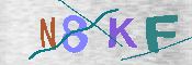 キャプチャ画像