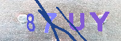 キャプチャ画像