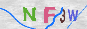 キャプチャ画像