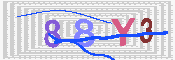 キャプチャ画像