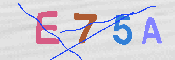 キャプチャ画像