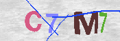 キャプチャ画像
