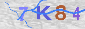 キャプチャ画像