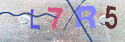 キャプチャ画像