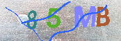 キャプチャ画像