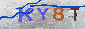 キャプチャ画像