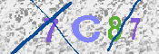 キャプチャ画像