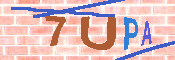 キャプチャ画像