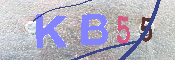 キャプチャ画像