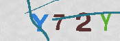 キャプチャ画像