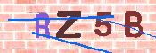 キャプチャ画像