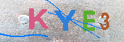 キャプチャ画像