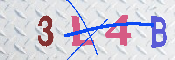 キャプチャ画像