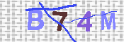 キャプチャ画像