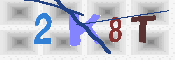 キャプチャ画像