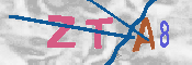 キャプチャ画像