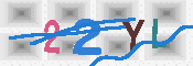 キャプチャ画像