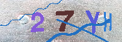 キャプチャ画像