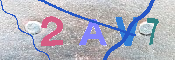 キャプチャ画像
