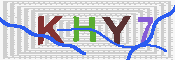 キャプチャ画像