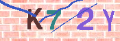 キャプチャ画像