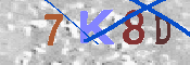 キャプチャ画像