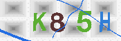キャプチャ画像