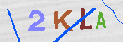 キャプチャ画像